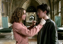 Hermione-harry-and-the-time-turner-1050x0-c-default