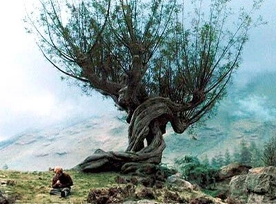hogwarts whomping willow