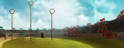 B3C15M2 Quidditch Pitch