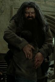 Hagrid hugs Harry