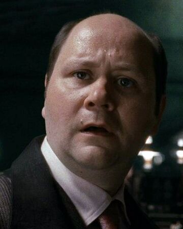 Minister For Magic Support Staff Official Harry Potter Wiki Fandom Minister For Magic Support Staff Official Harry Potter Wiki Fandom