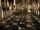 Leta-lestrange-hogwarts-great-hall1.webp