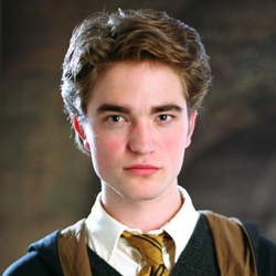 カテゴリ 殺人の被害者 Harry Potter Wiki Fandom