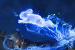 Patronus Charm Harry Potter Wiki Fandom