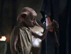 Dobby2