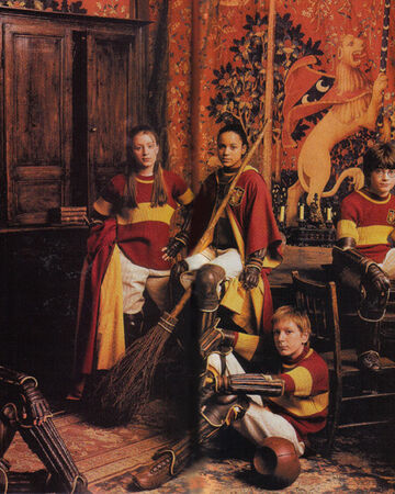 Equipe De Quidditch De Gryffondor Wiki Harry Potter Fandom