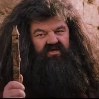 Flute Harry Potter Wiki Fandom