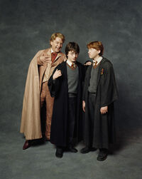 Gilderoy Lockhart, Harry Potter and Ronald Weasley Promo COS