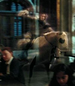 ゴースト Harry Potter Wiki Fandom