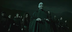 Voldemort and his Death Eaters waiting before the battle