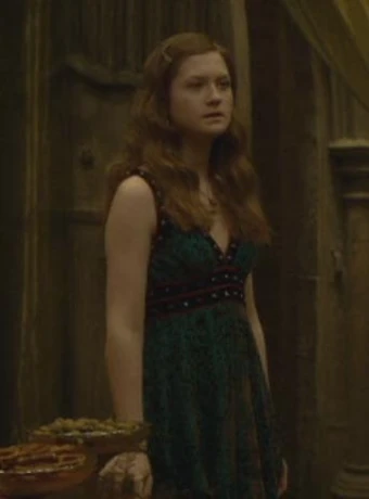 Ginevra Weasley's robes to Slughorn's Christmas party | Harry Potter Wiki |  Fandom