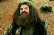 Hagrid.jpg
