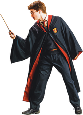 Harry in Robe with Wand (Painting) - Harry Potter and the Half-Blood Prince™
