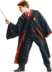 Harry in Robe with Wand (Painting) - Harry Potter and the Half-Blood Prince™.png