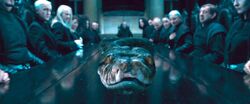 Nagini at Malfoy Manor Dining Table