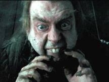 Peter pettigrew