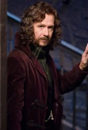 Sirius Black at 12 Grimmauld Place