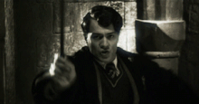 Cistemaperio.gif