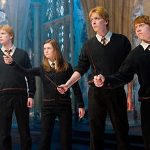 Ronald Weasley Harry Potter Wiki Fandom