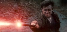 HarryDefeatsVoldemort