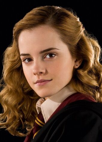 Hermione Granger S Mother Harry Potter Wiki Fandom