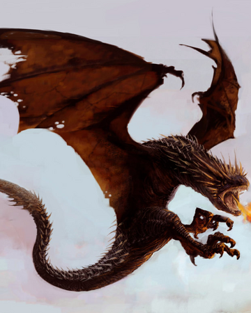ドラゴン Harry Potter Wiki Fandom ドラゴン Harry Potter Wiki Fandom
