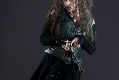 Première baguette de Bellatrix Lestrange, Wiki Harry Potter