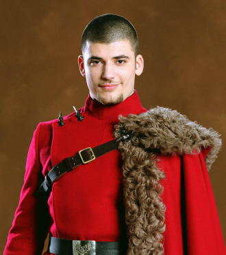 Viktor Krum And Hermione Granger At The Yule Ball