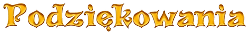 Podziękowania25