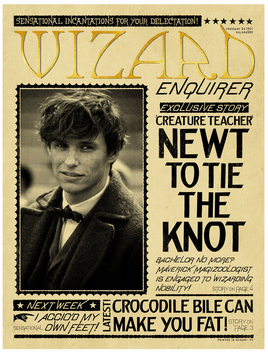 Wizard Enquirer