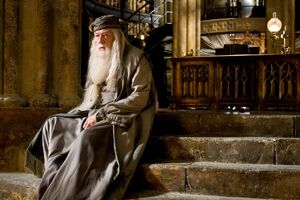 Dumbledore 1996