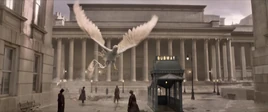 Fantastic Beasts Creatures 03