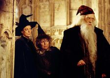 HP2 McGonagall Sprout Dumbledore