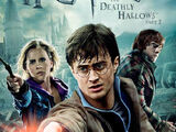 Harry Potter ve Ölüm Yadigarları: Bölüm 2