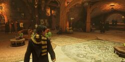 Hufflepuff Common Room HL