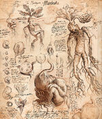 Mandrake Harry Potter Wiki Fandom Mandrake Harry Potter Wiki Fandom