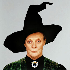 グリフィンドール Harry Potter Wiki Fandom