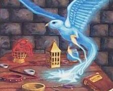 The Avifors Spell in action