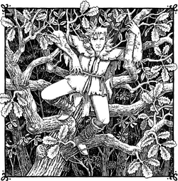 An Erkling perched in woodland trees