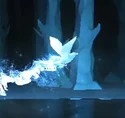 Nightjar Patronus.jpg (23 KB) Nightjar