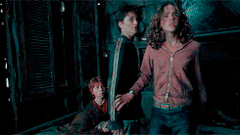 Harry&Hermion poa