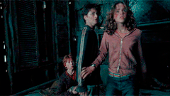 POA Hermione shielding Harry Shrieking Shack