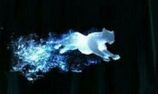 Leopard-patronus.jpg (37 KB) Leopard