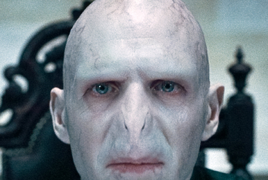 監督生 | Harry Potter Wiki | Fandom