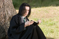 Snape 5thyear