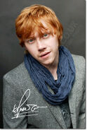 1rupert-grint