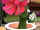 Gerald (Fanged Geranium)