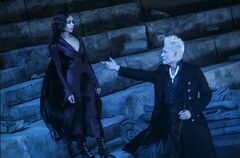 Leta Lestrange Harry Potter Wiki Fandom