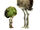 Forest Raco