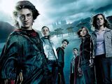 Harry Potter and the Goblet of Fire (film)